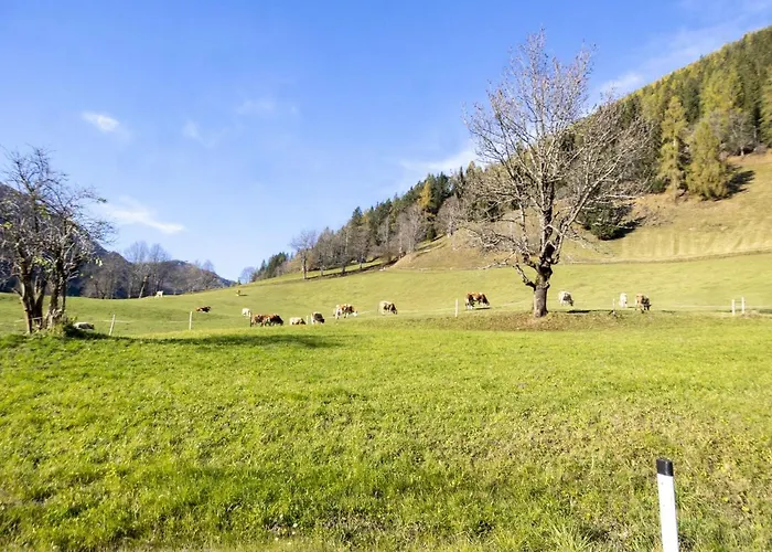 Zentral Gelegenes In Appartamento Bad Kleinkirchheim